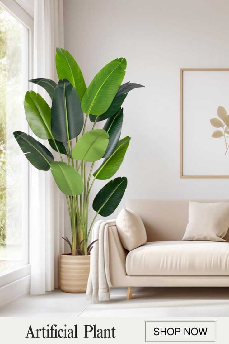 Banana Leaf Plant in Pot 1.5M