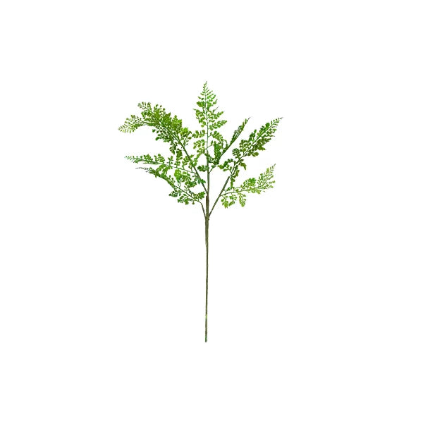 Fern Spray – Green 66cm