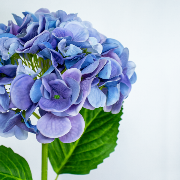 Hydrangea Spray – Dark Blue 48cm