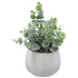 Cion Leaf White Pot 24X10CM (Copy)