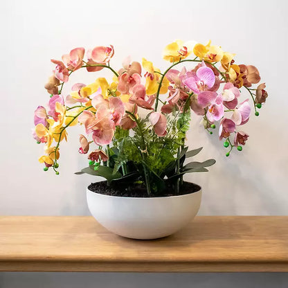 Phalenopsis Orchid Silk Arrangement – Mixed 80cm