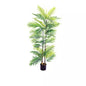 Areca Palm Tree 15cm