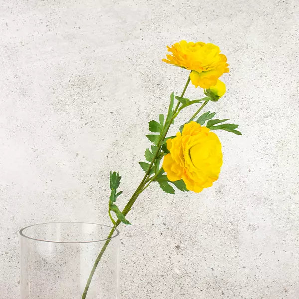 Rananculus Spray – Dark Yellow