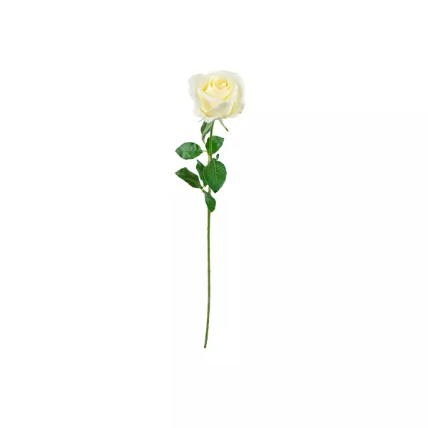 Rose Spray – Cream 65cm