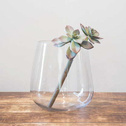 Glass Vase – 25cm(H)x24cm(W)