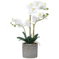 Silk Orchid plant in pot 53cm