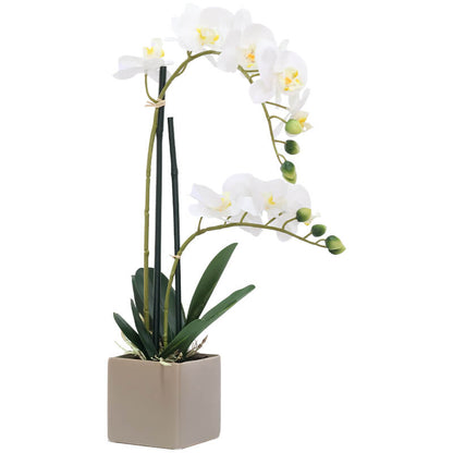 White Silk Orchid in Square pot 51cm