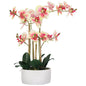 Artificial Silk Orchid in pot 85cm